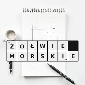Hasło krzyżówkowe cheloniidae rodzina żółwi z podrzędu żółwi skrytoszyjnych całe życie spędzają w morzu a jedynie samice na krótki czas wychodzą na ląd w celu złożenia jaj - żółwie morskie – rozwiązanie, synonimy, podpowiedzi i definicje krzyżówkowe